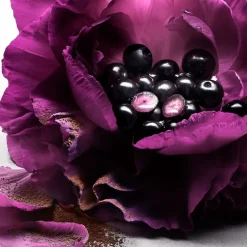 La Nuit Trésor Le Parfum 50ml