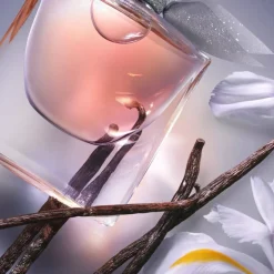 La Vie Est Belle Eau De Parfum 50ml