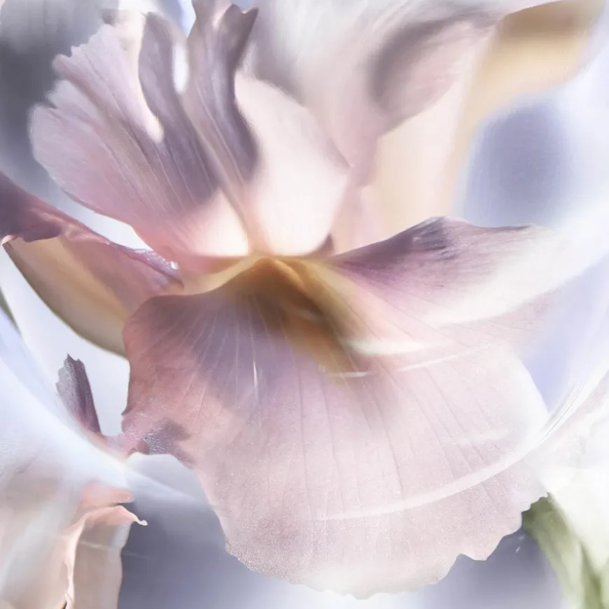 La Vie Est Belle Iris Absolu Eau De Parfum 30ml