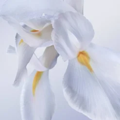 La Vie Est Belle Rose Extraordinaire Eau De Parfum 30ml