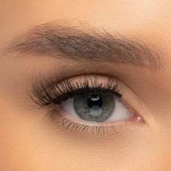 Lash Vault Girl Crush 3pairs