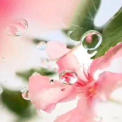 Les Ô Ôver The Pop Eau De Toilette 100ml