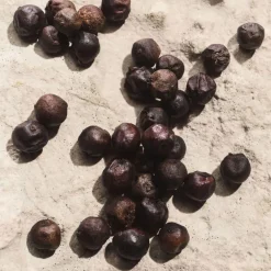 Light Blue Capri In Love Pour Homme Eau De Parfum 100ml