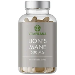 Lion's Mane 500mg 100pcs
