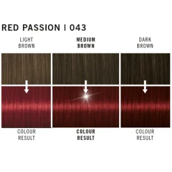 Live XXL #43 Red Passion