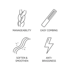 Man Silver Shampoo 250ml