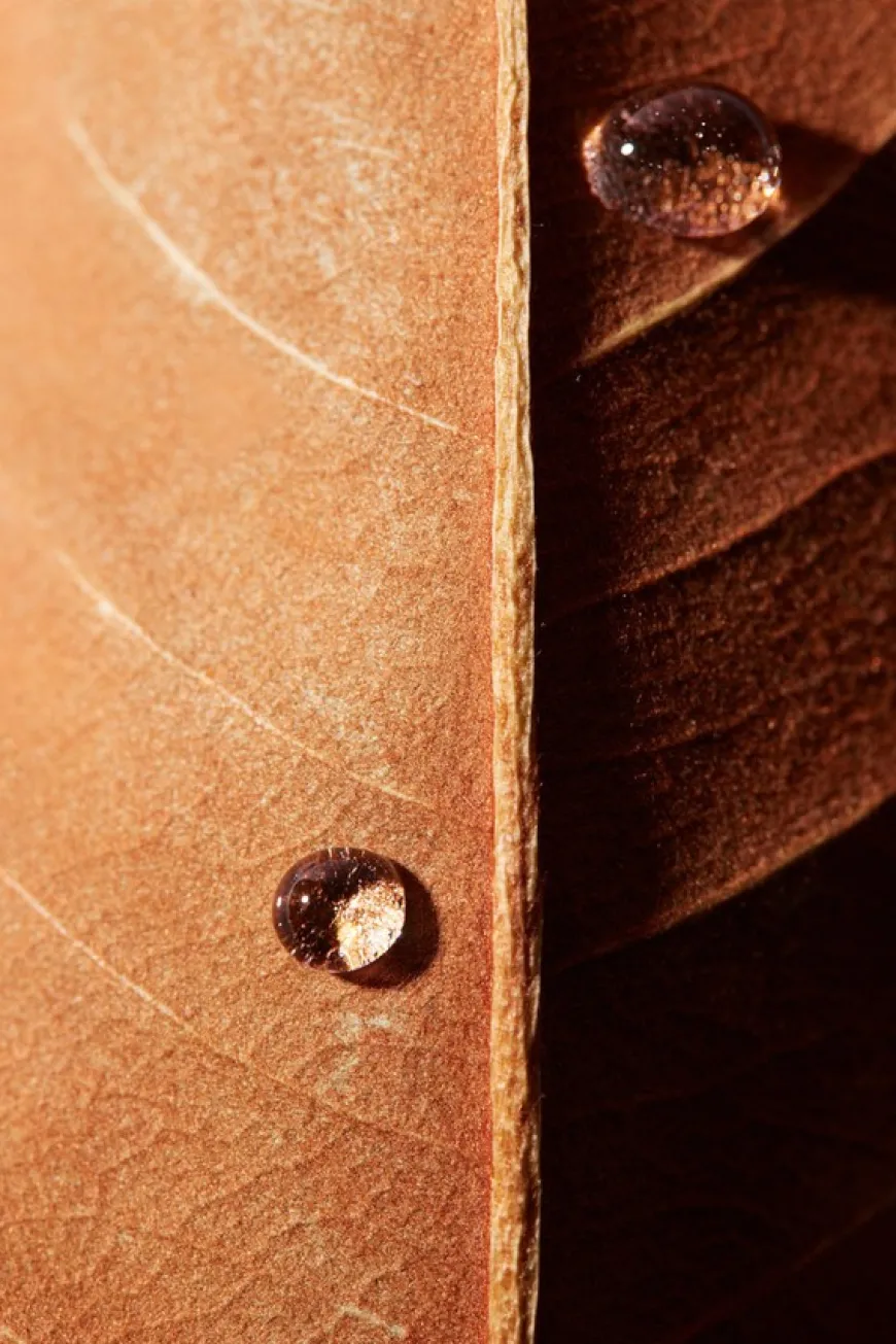 Maple Energy Infusing Cream 60g