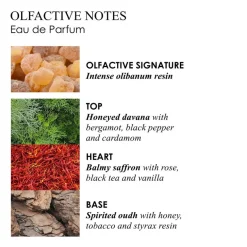 Mesmerising Oudh Accord & Gold Eau de Parfum 100ml