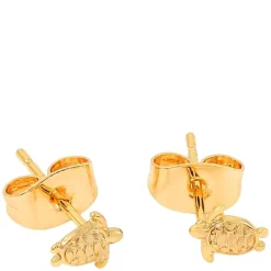 Mini Turtle Stud Earrings Gold
