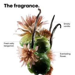 Molecular Repair Hair Kit