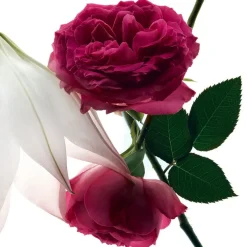 Mon Paris Intensement Eau De Parfum 30ml