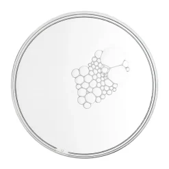 Multi-Active Delivery Essence 100ml