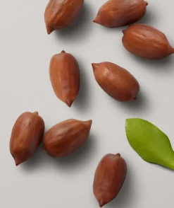 Multi-Benefit Hair Oil 50ml