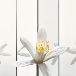 MYSLF Eau De Parfum 100ml