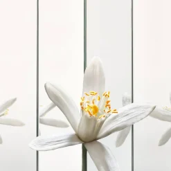 MYSLF Eau De Parfum 40ml