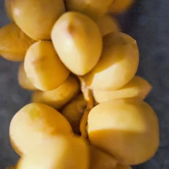 Nomade Jasmin Naturel Eau De Parfum 50ml