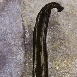 Nomade Nuit d'Egypte Eau De Parfum 30ml