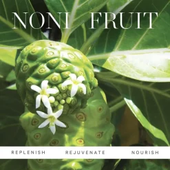 Noni Glow Face Oil 30 ml