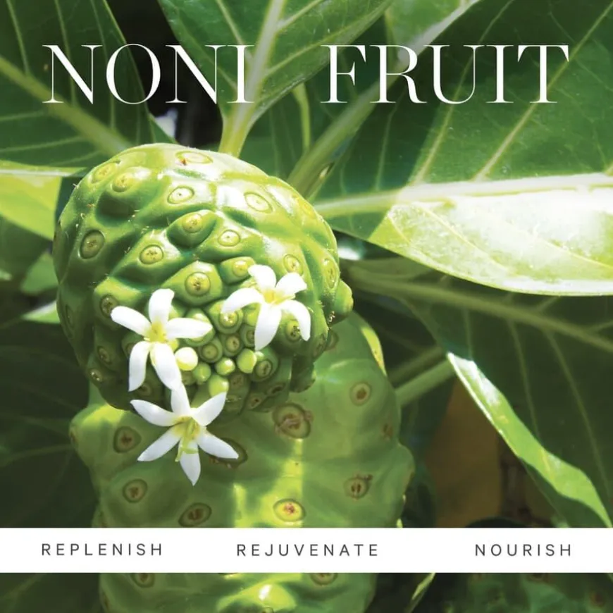 Noni Radiant Eye Oil 10ml