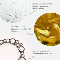 Oil to Foam Total Cleanser 250ml