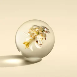 Orange & Bergamot Body Lotion 300ml