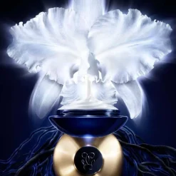 Orchidée Impériale The Cream 50ml