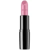 Perfect Color Lipstick #955 Frosted Rose 4g