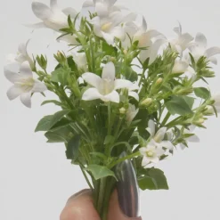 Perfect Eau De Toilette 100ml