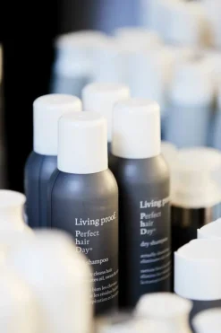 Perfect Hair Day Dry Shampoo 90ml