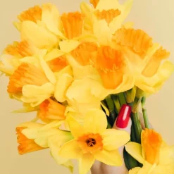 Perfect Marc Jacobs Intense Eau De Parfum 50ml