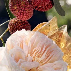 Perfumed Body Lotion 200ml