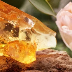 Perfumed Deodorant For Women 100ml