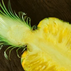 Polo 67 Eau de Toilette 40ml