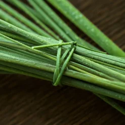 Polo 67 Eau de Toilette 40ml