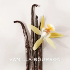 Polo Earth Antilles Vetiver Eau De Toilette 100ml