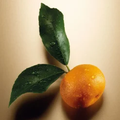 Pour Femme Eau De Parfum 30ml