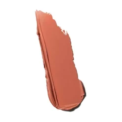 Powder Kiss Velvet Blur Slim Stick Spice World 2g