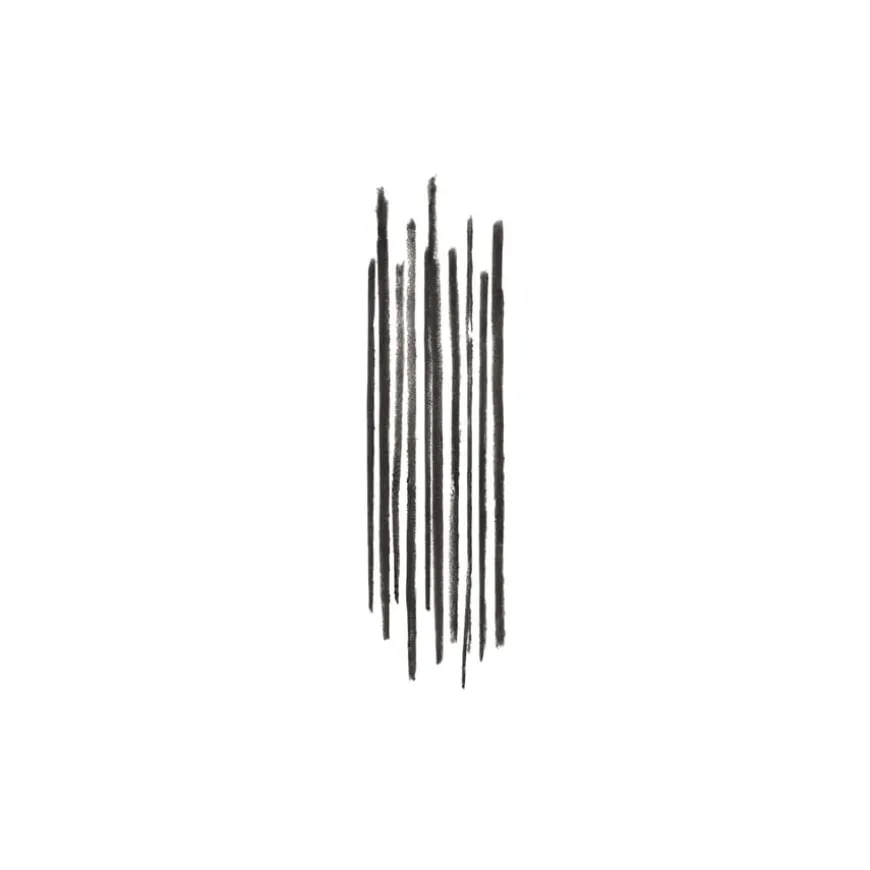 Precise Brow Pencil Black 0.06g