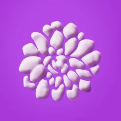 Prejuvenation Firming Bakuchiol Serum 50ml