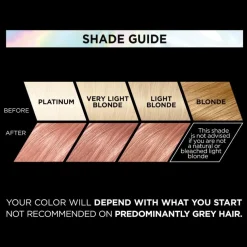 Préférence Vivid Colours Permanent Color For Normal Hair 9.213 Rose Gold