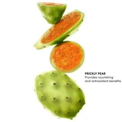 Pureness Gel Cleanser 120ml