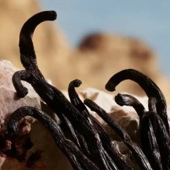 Q By Dolce&Gabbana Parfum 100ml