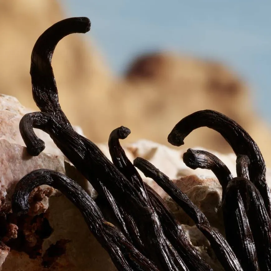 Q By Dolce&Gabbana Parfum 30ml