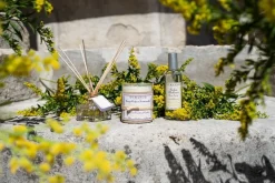 Reed Diffuser Mimosa In Bloom 100ml