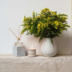 Reed Diffuser Mimosa In Bloom 100ml