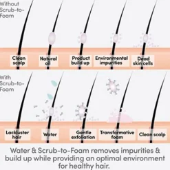 Renewing Scalp Care Scrub To Foam 177ml