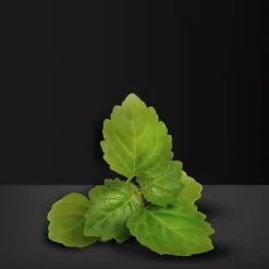 Respect Deodorant Spray 150ml