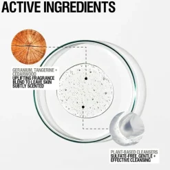 Revive Body Cleanser 500ml