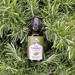 Rosemary Essential Oil 15ml