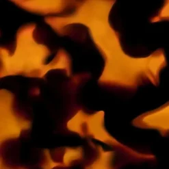 Rouge G Case L'Écaille 1pcs